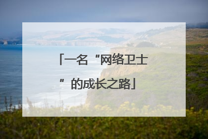 一名“网络卫士”的成长之路